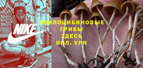 соль курить ск Богородск