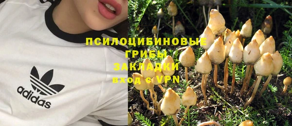 соль курить ск Богородск