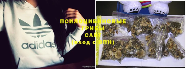 хмурый Богданович